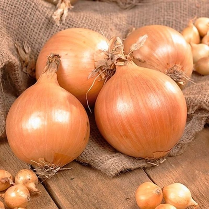 Bawang Bombay